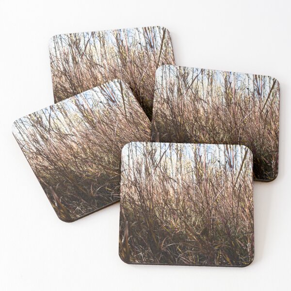 Item preview, Fall grasses  designed and sold by CanadianWild418.