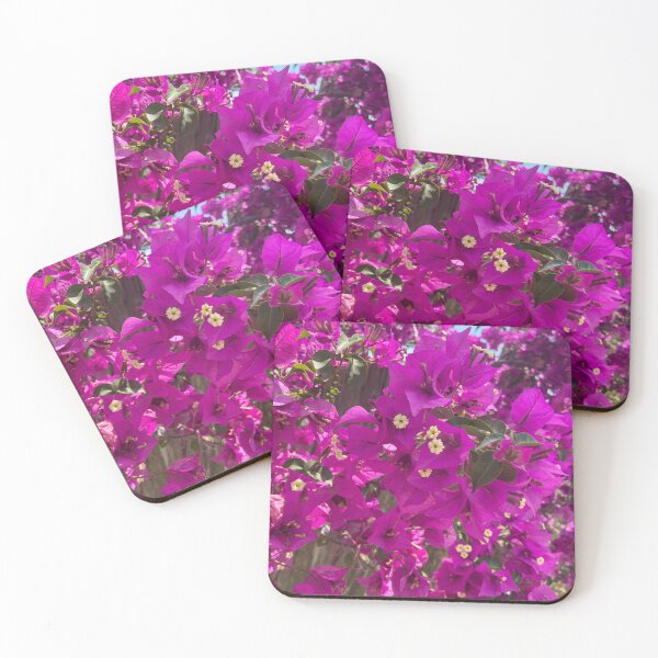 Beautiful Bougainvillia, Sciacca, Sicily, Italy Coasters (Set of 4)