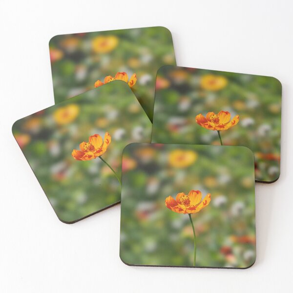 Item preview, Autumn flower designed and sold by Lillyjoyphoto.