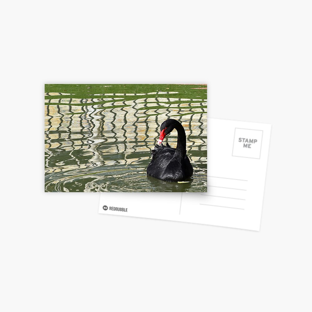 Item preview, Postcard designed and sold by KarenEspig.