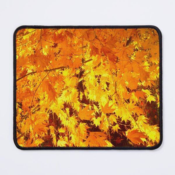 Item preview, Beautiful golden maple leaves designed and sold by stevepaint.