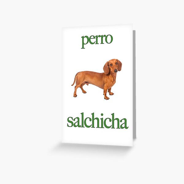 Perro Salchicha Sticker for Sale by Agata Bertolini