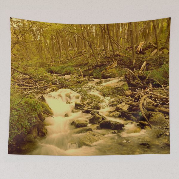 Item preview, Crystal clear mountain stream designed and sold by stevepaint.
