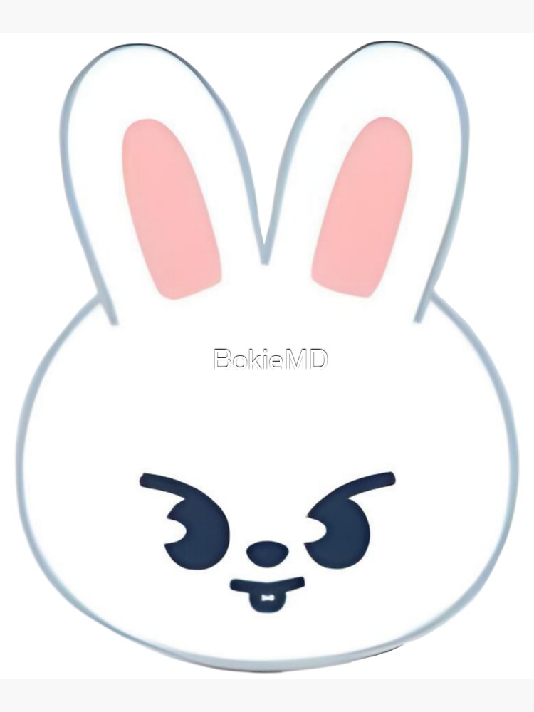 LEEBIT SKZOO, STRAY KIDS LEE KNOW