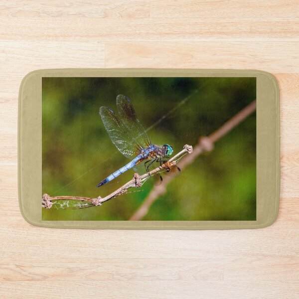 Item preview, For The Dragonfly Lover In You ~ Dragonfly: Blue Dasher, Skillern Tract, Anahuac NWR, Chambers County, Texas, USA. designed and sold by MoreEZUSA-Here.