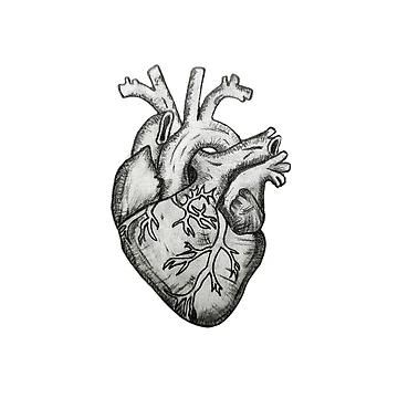 Artwork thumbnail, Beating Heart by OutJsWindow