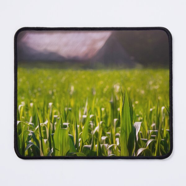 Item preview, Dream Corn designed and sold by Jim Love.