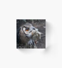 Having lunch Acrylic Block