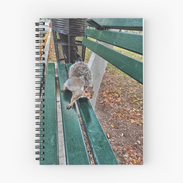 Item preview, Squirrel at Boston Common designed and sold by Mel Moreno.