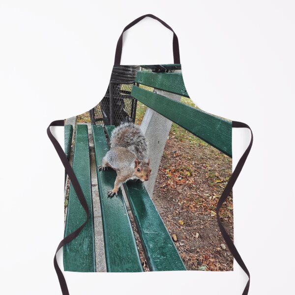 Item preview, Squirrel at Boston Common designed and sold by Mel Moreno.