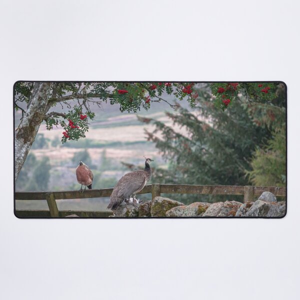 Item preview, Peacocks On A Scottish Farm designed and sold by RStarArt.