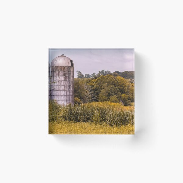 Item preview, Silo In The Cornfield designed and sold by Jim Love.
