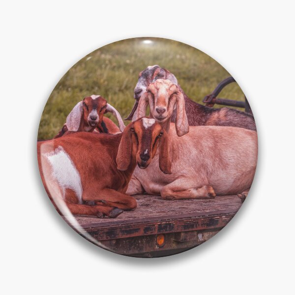 Item preview, Goats On A Wagon designed and sold by Jim Love.