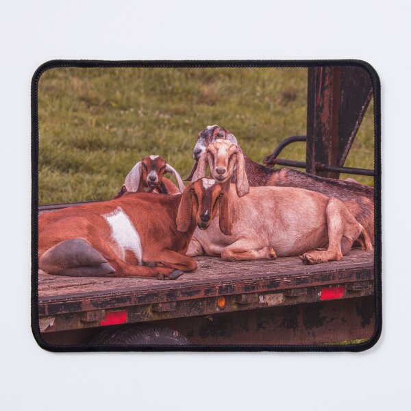 Item preview, Goats On A Wagon designed and sold by Jim Love.