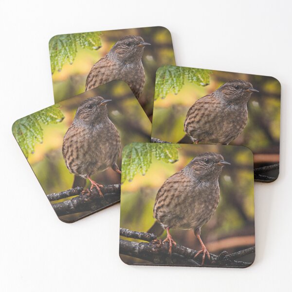 Item preview, A friendly hedge sparrow designed and sold by TJPhotography97.