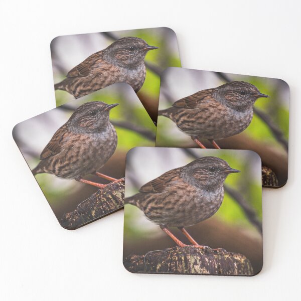 Item preview, The Quiet Hedgesparrow designed and sold by TJPhotography97.
