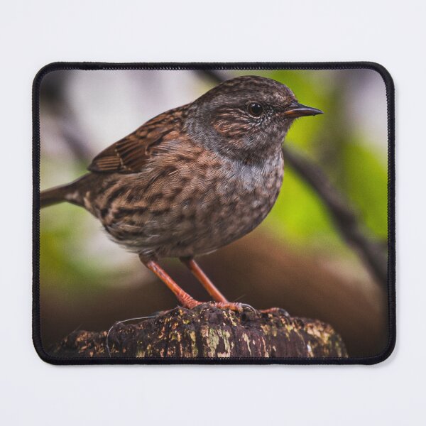 Item preview, The Quiet Hedgesparrow designed and sold by TJPhotography97.