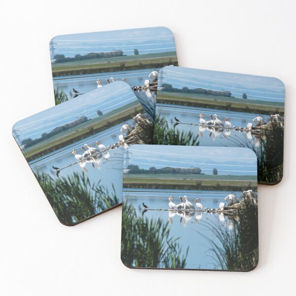 Item preview, Pelicans designed and sold by CanadianWild418.