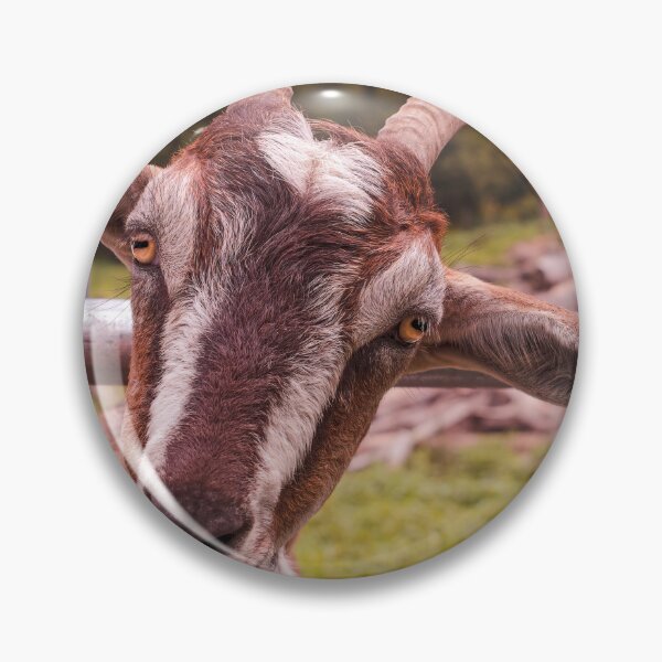 Item preview, Howdy designed and sold by Jim Love.