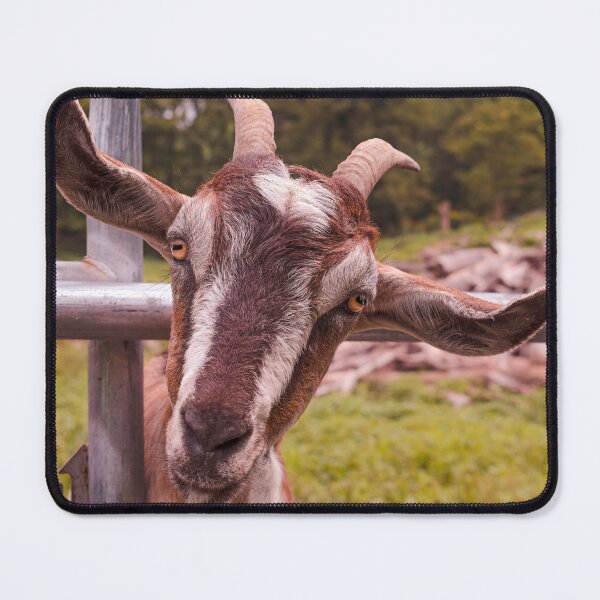 Item preview, Howdy designed and sold by Jim Love.