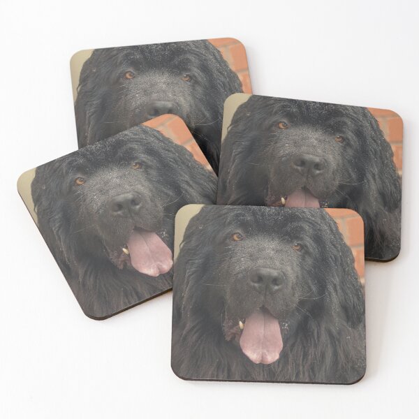 Item preview, Wet Newfoundland Dog Close Up of Head designed and sold by shane22.