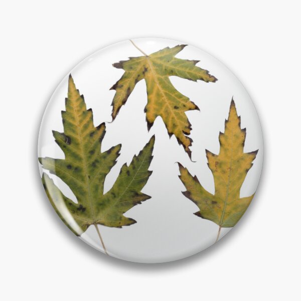 Item preview, trio of fall leaves green and yellow designed and sold by Madie Grace.