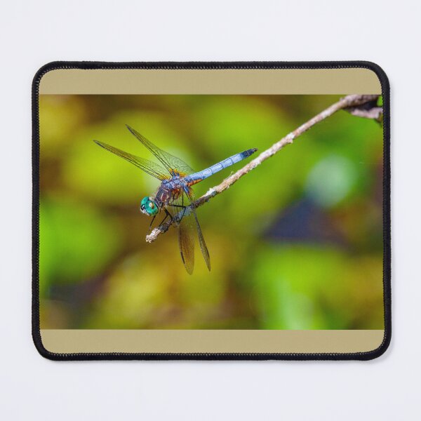 Item preview, For The Dragonfly Lover In You: Blue Dasher ~The Dragonfly symbolizes transformation and self-realization. The Dragonfly represents creative imagination and the insight of clear vision. designed and sold by MoreEZUSA-Here.