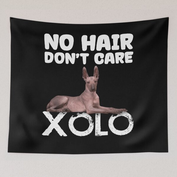 Item preview, Xolo No Hair Don't Care designed and sold by theSYD.