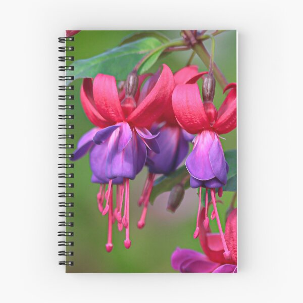 Item preview, Fuschia Flowers designed and sold by RStarArt.