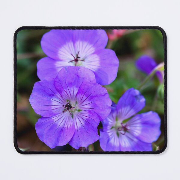 Item preview, Purple Wild Geraniums designed and sold by RStarArt.