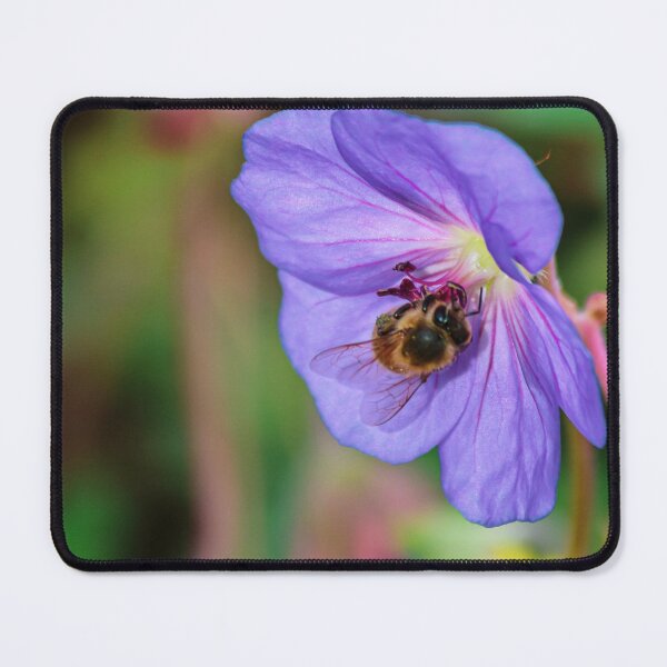 Item preview, Bee On Purple Flower designed and sold by RStarArt.