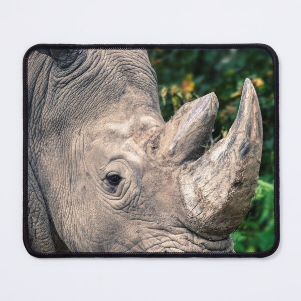Item preview, Rhinoceros designed and sold by Calle77.