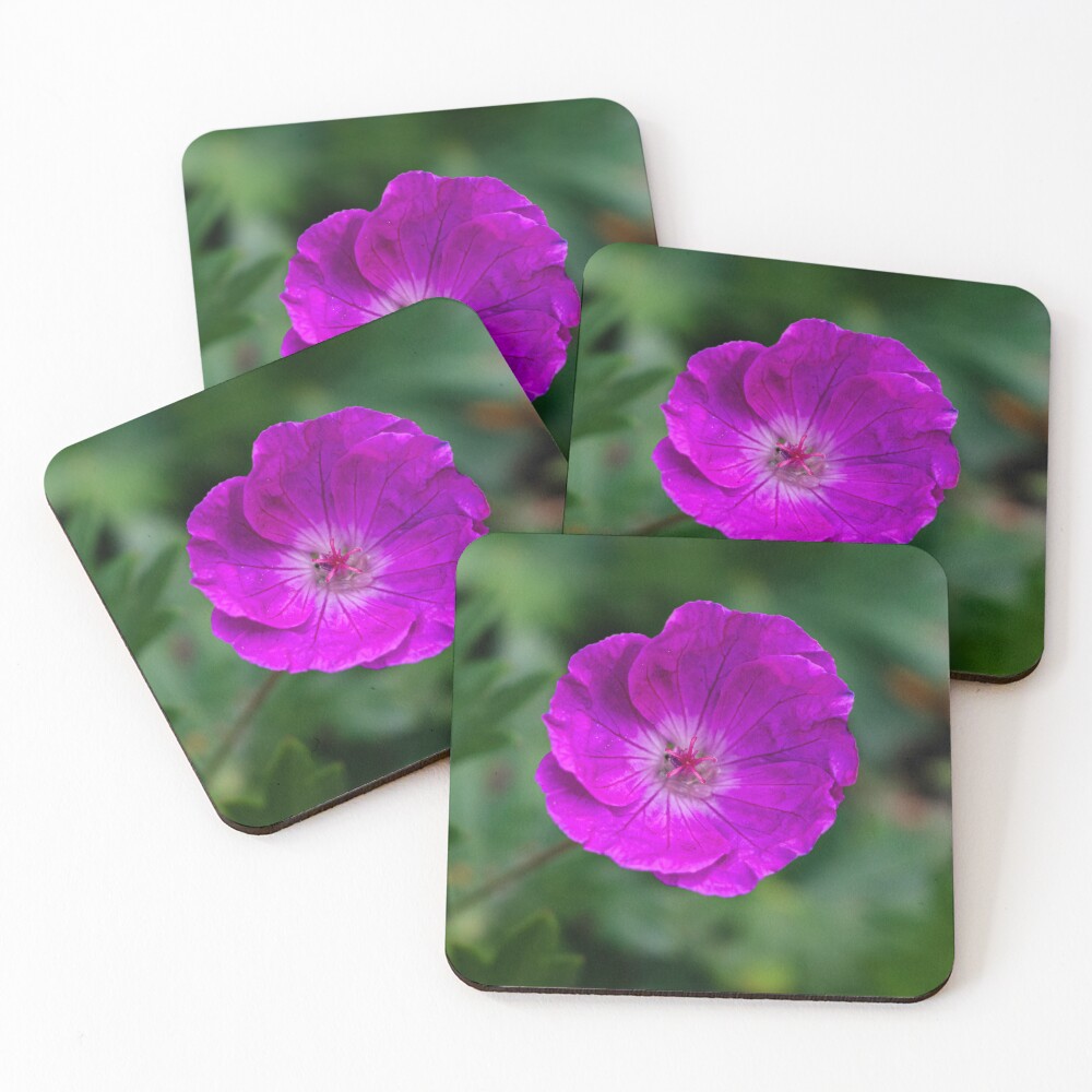 Item preview, Coasters (Set of 4) designed and sold by RStarArt.