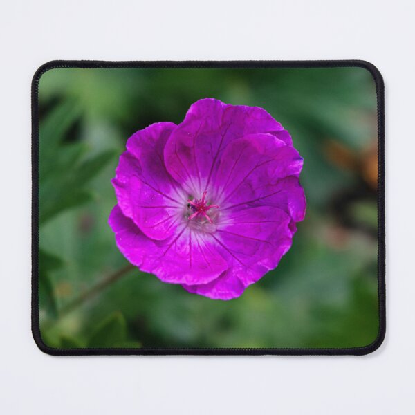 Item preview, Pink Wild Geranium designed and sold by RStarArt.