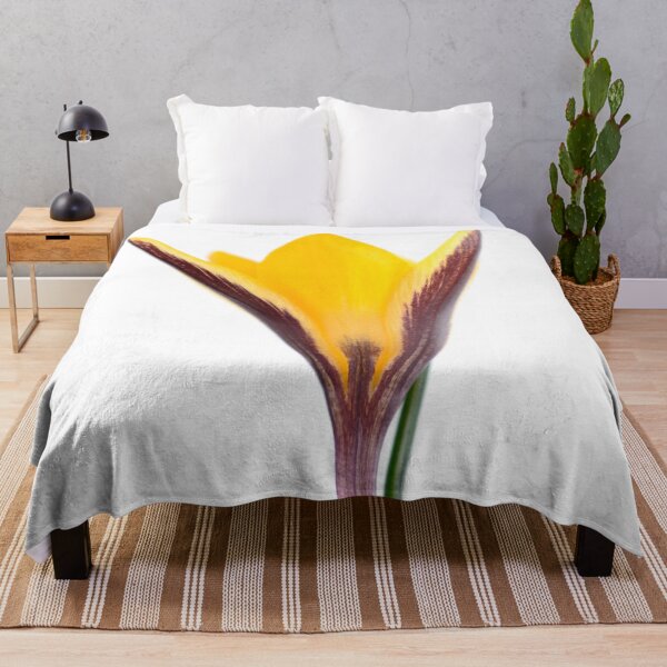 Item preview, Crocus angustifolius  AGM  Cloth-of-gold crocus  designed and sold by Chris Burrows.