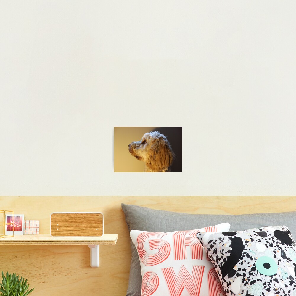 Item preview, Photographic Print designed and sold by nastypastys.