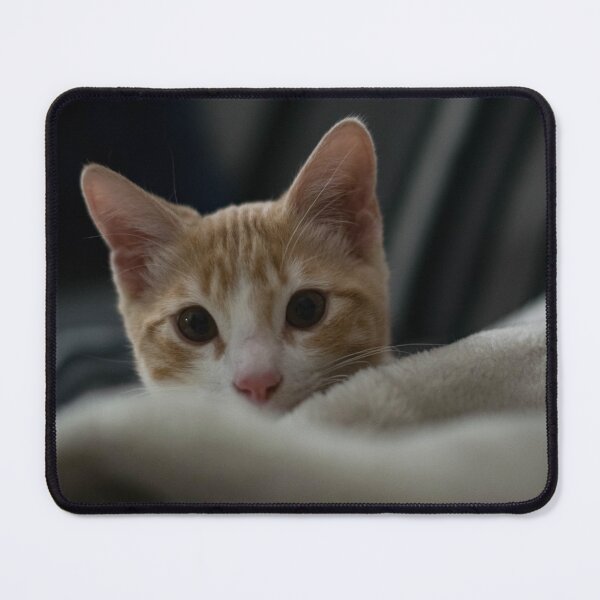 Item preview, Friend? designed and sold by cflashstudios.