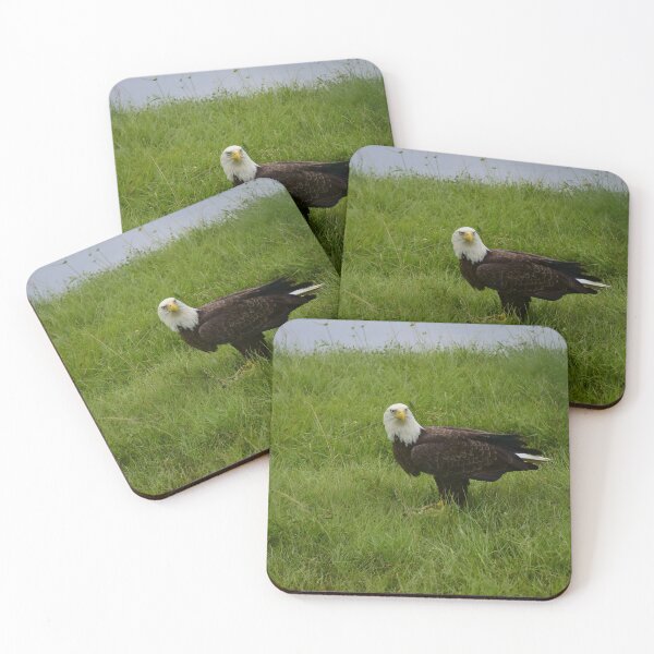 Item preview, American Bald Eagle Looking At You designed and sold by MercerImages.