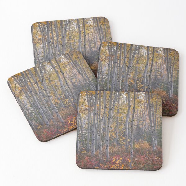 Item preview, Morning Fog - September 2023 designed and sold by mahnkephotos.