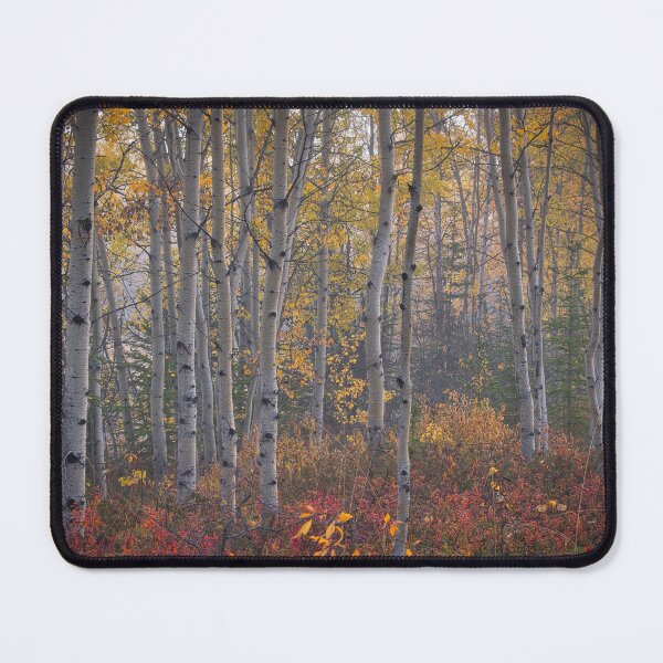 Item preview, Morning Fog - September 2023 designed and sold by mahnkephotos.