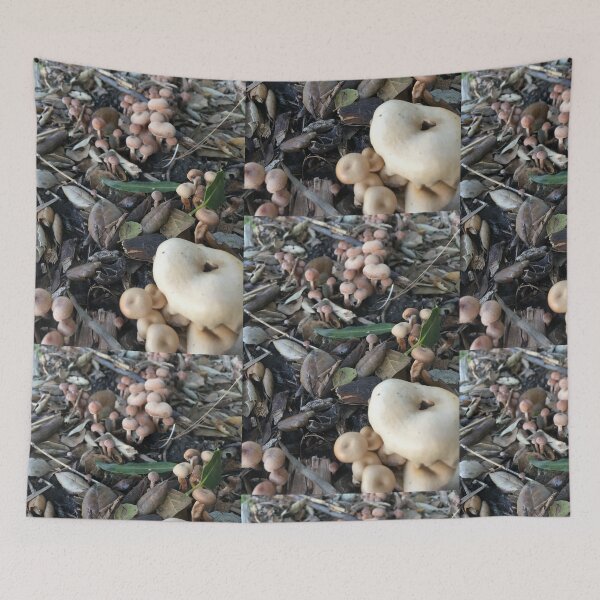 Item preview, Found mushrooms growing  designed and sold by Alexsiya Flora.