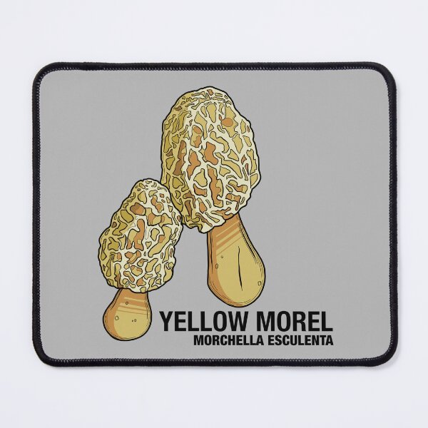 Item preview, Yellow Morel Mushroom designed and sold by Maybe-A-Robot.