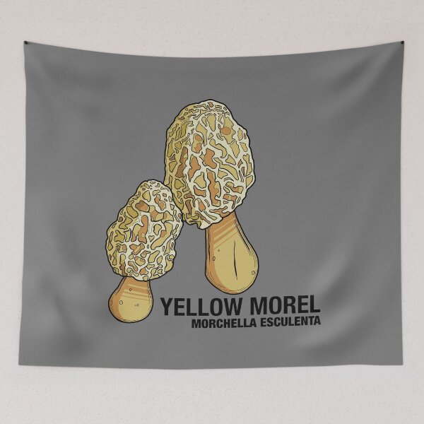 Item preview, Yellow Morel Mushroom designed and sold by Maybe-A-Robot.