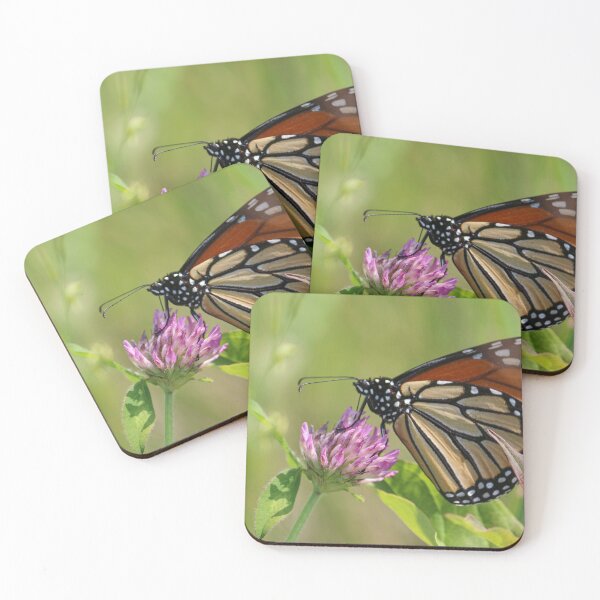 Item preview, Monarch on Clover designed and sold by RStarArt.