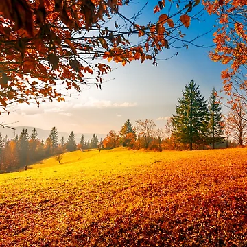 Artwork thumbnail, Autumn Landscape by JTS STORE