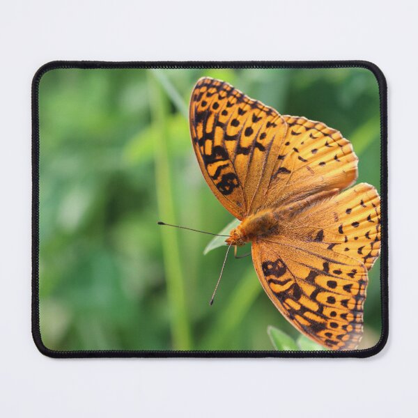 Item preview, Brilliant Orange Butterfly designed and sold by RStarArt.