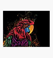 Macaw Parrot filligree Photographic Print