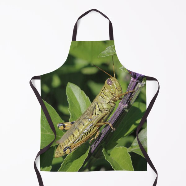 Item preview, Grasshopper Design Detail designed and sold by RStarArt.
