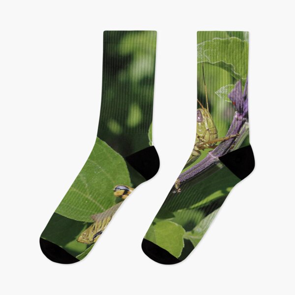 Item preview, Grasshopper Design Detail designed and sold by RStarArt.