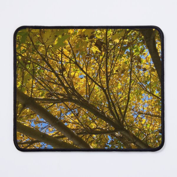 Item preview, Up a Tree in Autumn  designed and sold by Amanda1775.